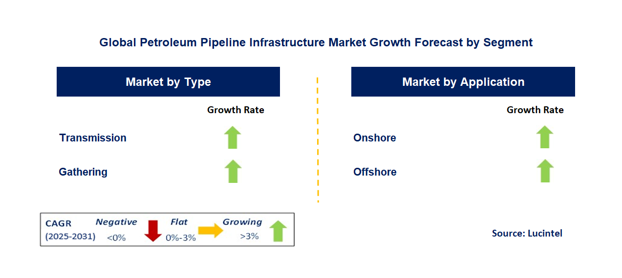 Petroleum Pipeline Infrastructure Market by Segment
